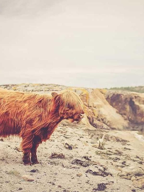 A creative team collaborating in a modern office